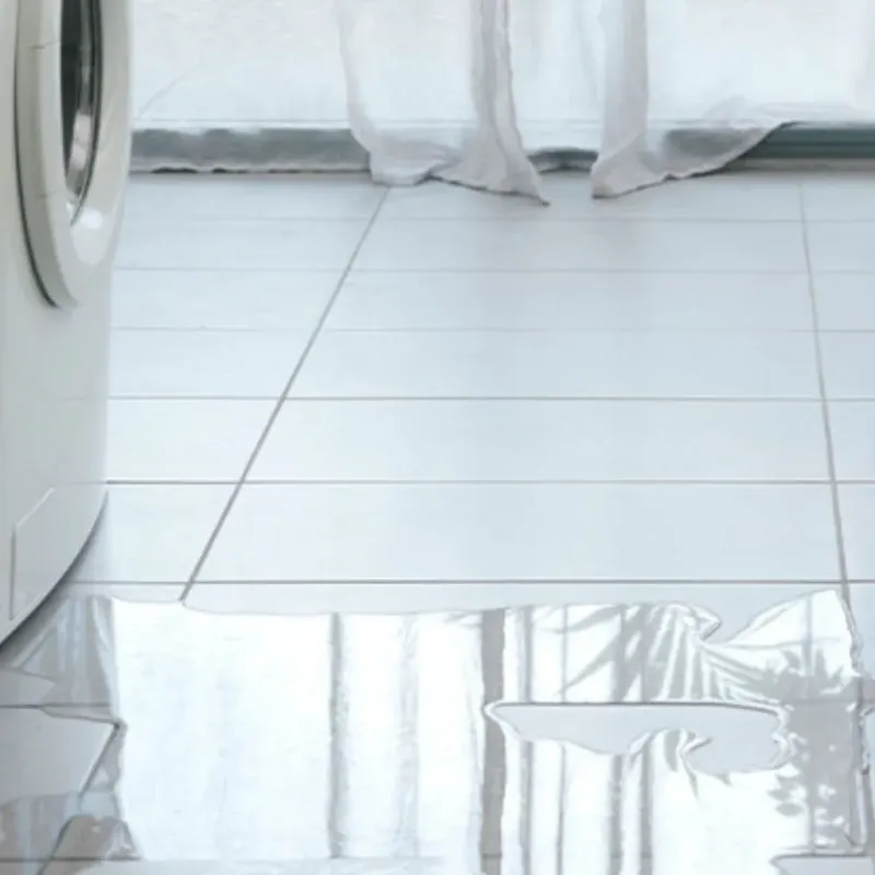 Appliance Leak Cleanup in Rochester, MA
