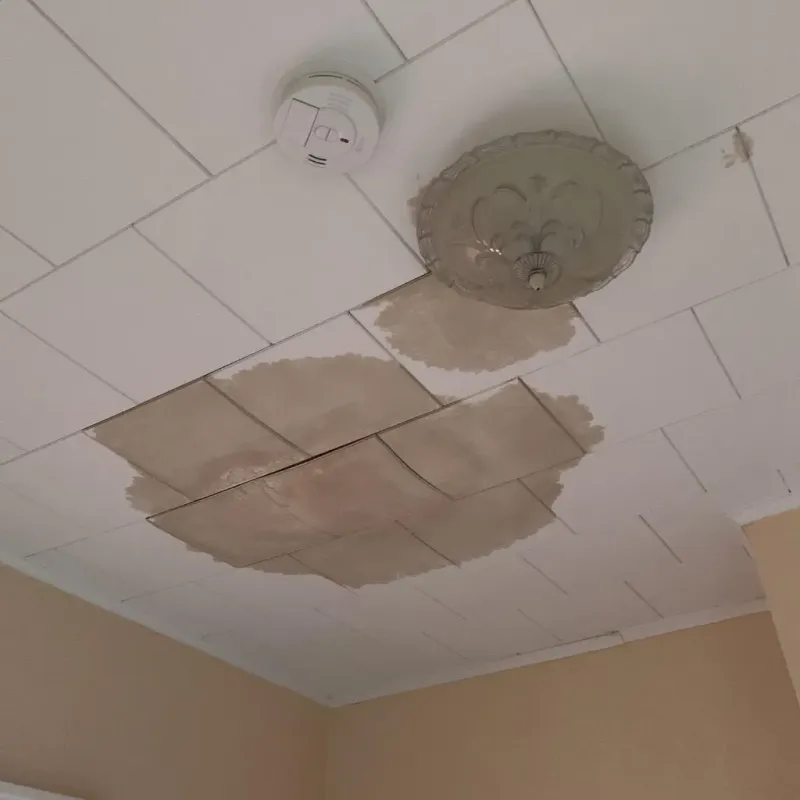 Ceiling Water Damage Repair in Rochester, MA