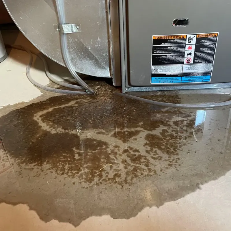 Pipe Burst and Leak Restoration in Rochester, MA